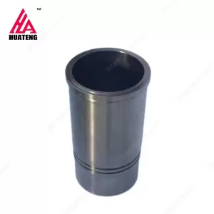 Набор цилиндров и поршней BFM1013 для двигателя Doytz04253771